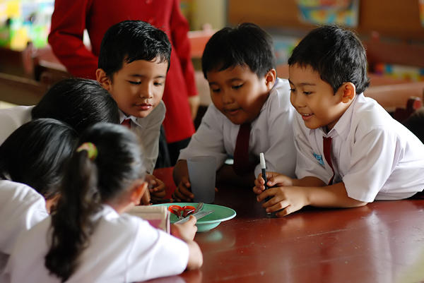 Peran Pendidikan dalam Pembentukan Identitas Bangsa