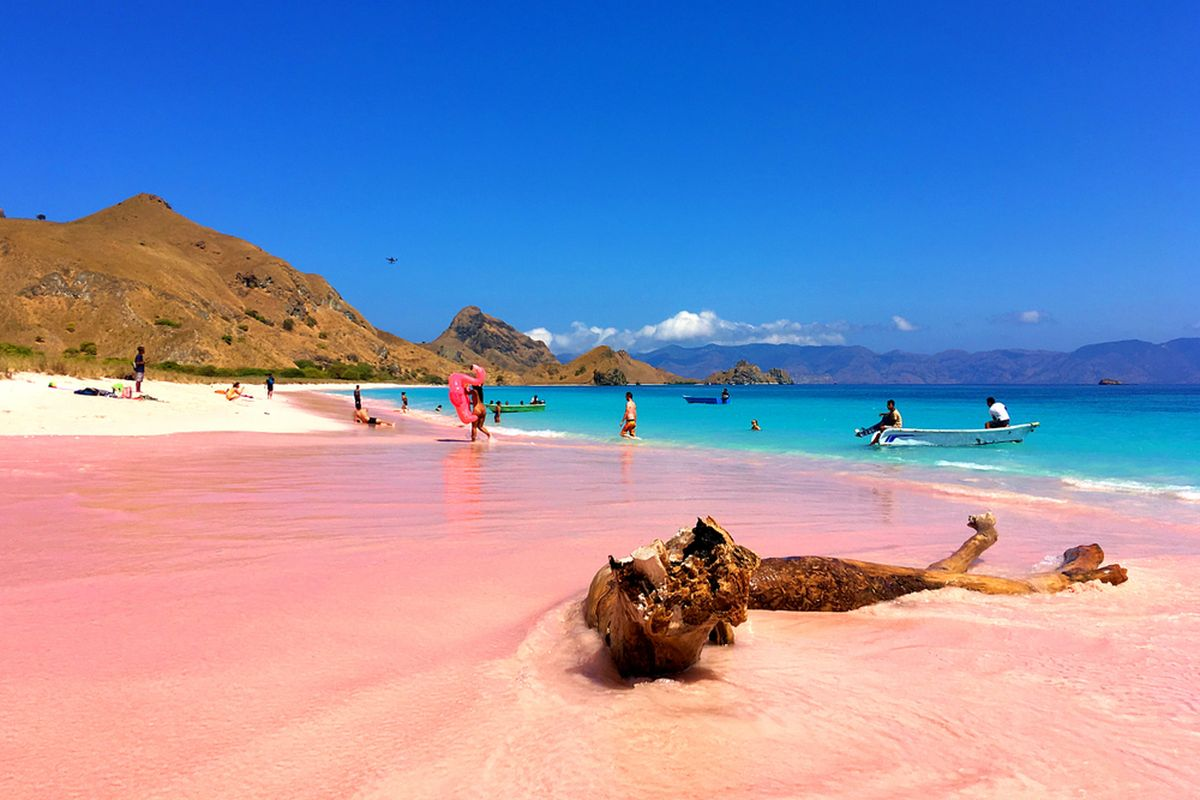 Pesona Pantai Pasir Pink di Lombok: Liburan yang Tak Terlupakan