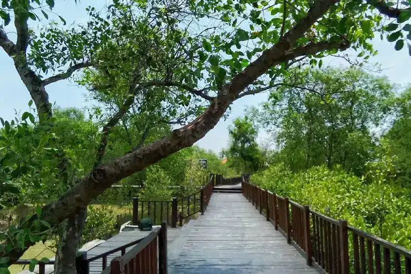 Liburan di Surabaya: Wisata Alam yang Seperti Surga Dunia